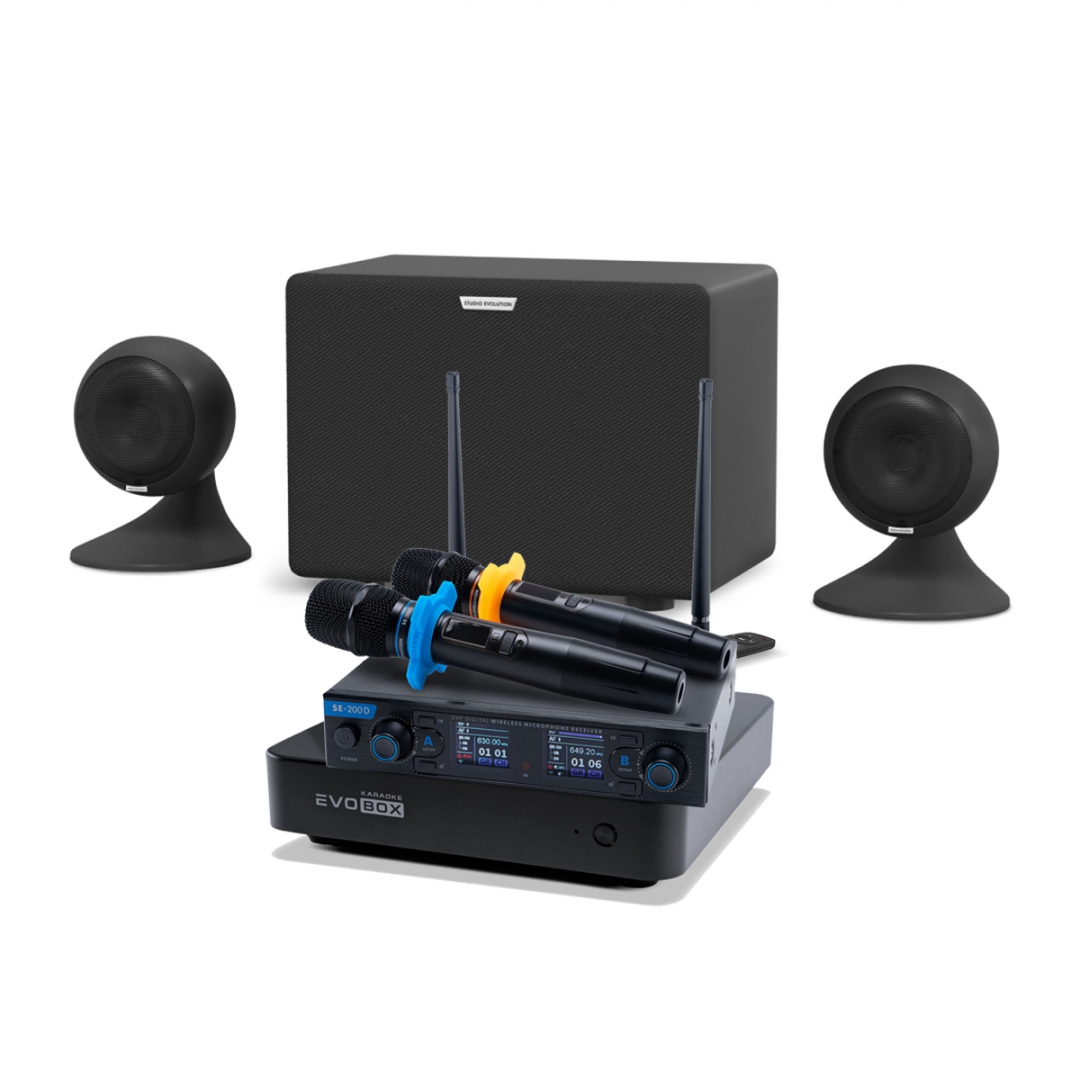 караоке-комплект EVOBOX + EvoSound Sphere 2.1 в Сарапуле