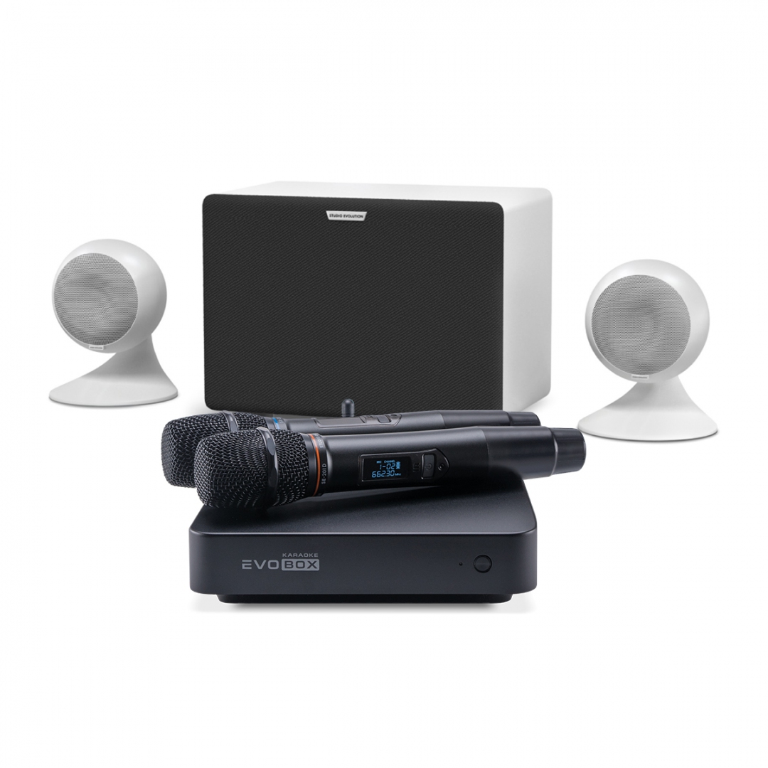 караоке-комплект EVOBOX Classic + EvoSound Sphere 2.1 в Сарапуле
