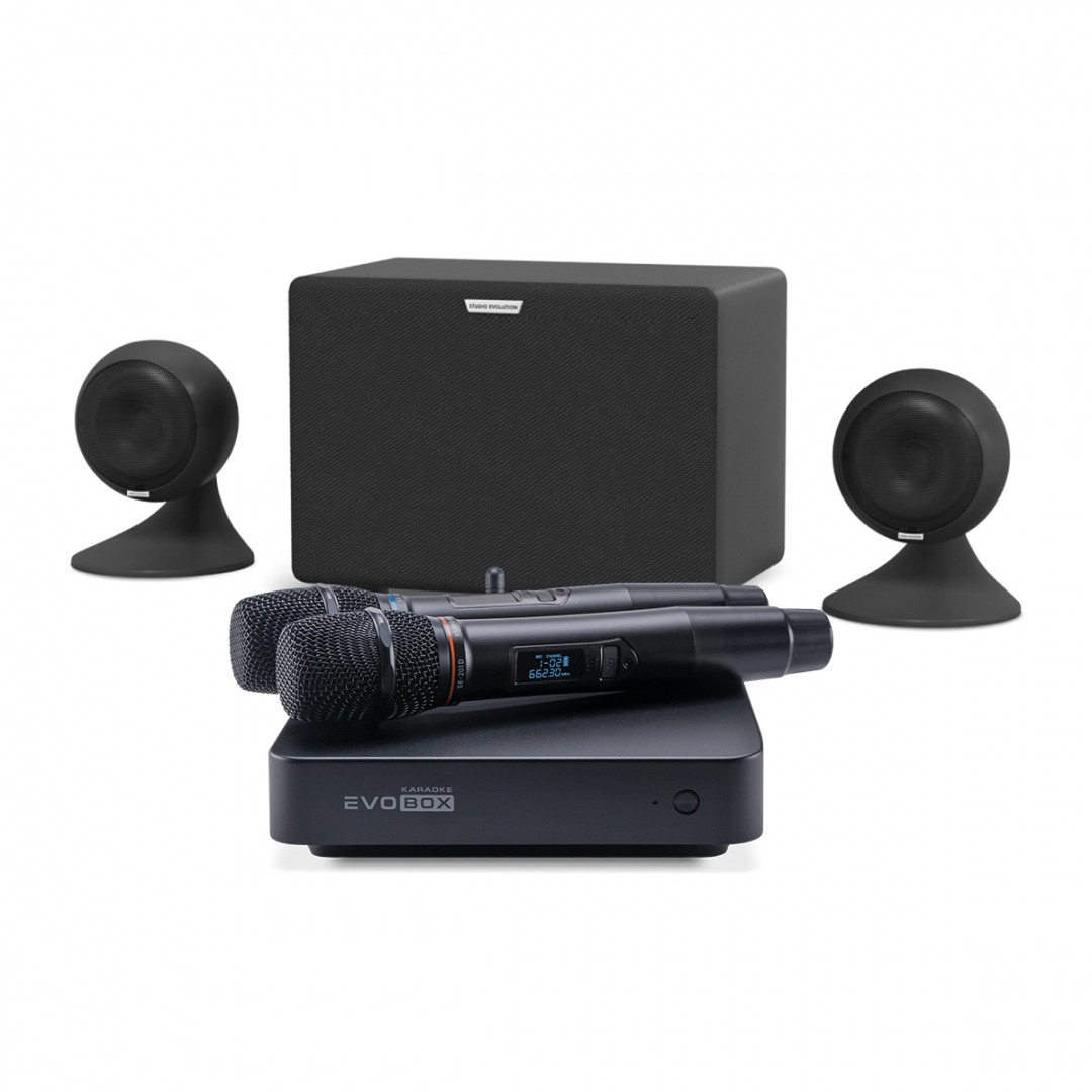 караоке-комплект EVOBOX Plus + EvoSound Sphere 2.1 в Сарапуле
