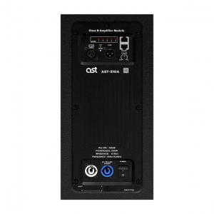 Активная акустическая система AST-310A в Сарапуле