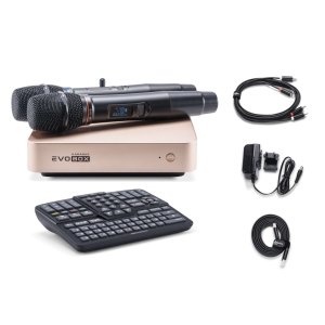 EVOBOX Classic караоке-система для дома в Сарапуле