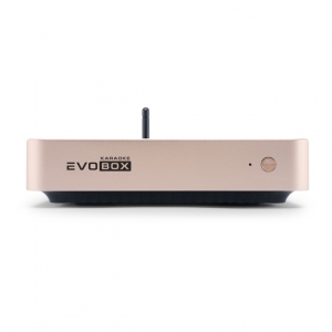 EVOBOX Plus караоке-система для дома в Сарапуле