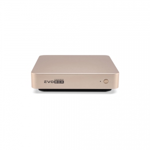 EVOBOX с микрофонами в Сарапуле